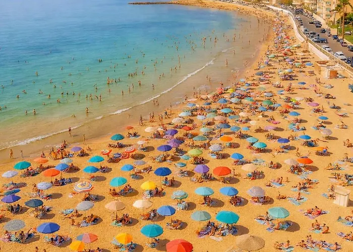 Casa Antonie Apartment